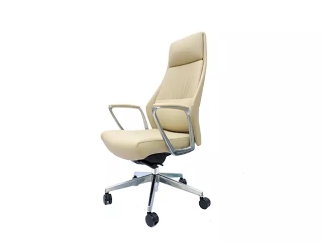 Executive Office Chairs